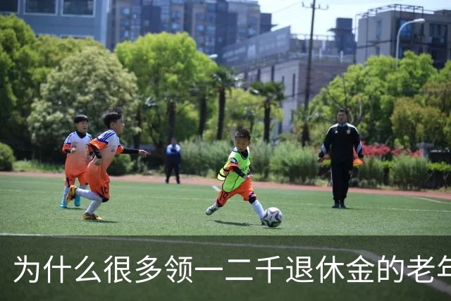 为什么很多领一二千退休金的老年人，宁愿在家过节俭生活，也不出去打工挣钱了