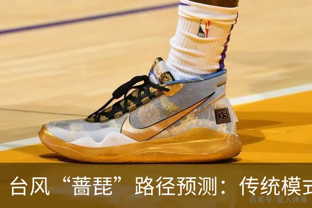 台风“蔷琵”路径预测：传统模式与AI模式分道扬镳——谁更接近真相？