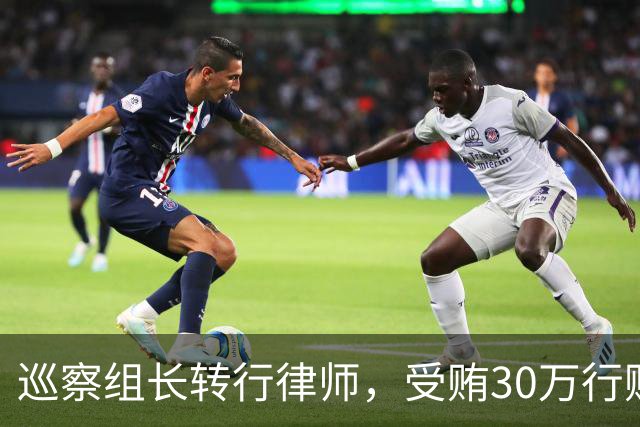 巡察组长转行律师，受贿30万行贿145万，被判4年半