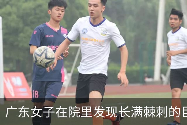 广东女子在院里发现长满棘刺的巨蜥，嫌弃其恶心，网友却说：一只好几万呢！