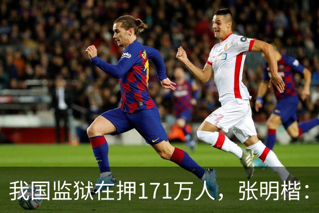 我国监狱在押171万人，张明楷：能少关就少关，重刑无益