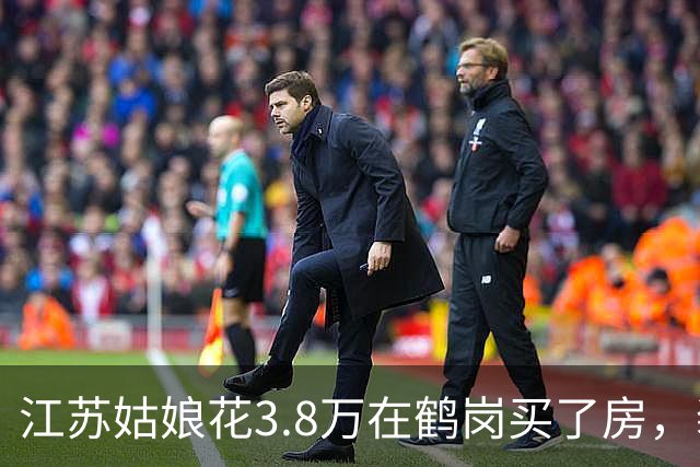 江苏姑娘花3.8万在鹤岗买了房，装修又花4万多，搬进去后傻眼