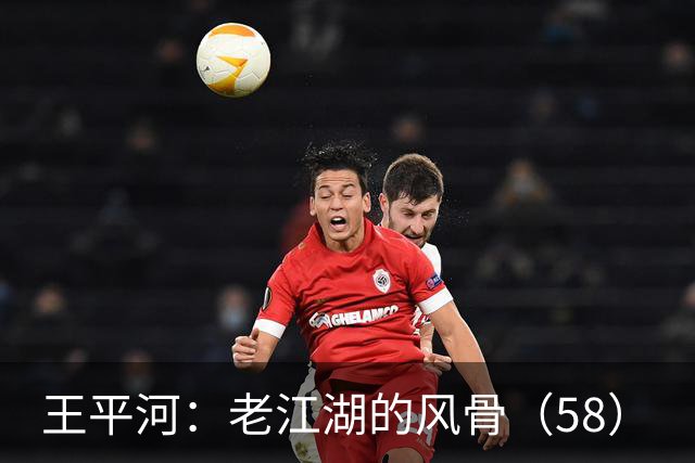 王平河：老江湖的风骨（5/8）
