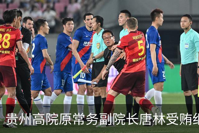 贵州高院原常务副院长唐林受贿细节曝光：一份“电冰箱市场调查报告”值330万