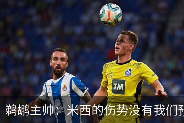 鹈鹕主帅：米西的伤势没有我们预想的那么严重